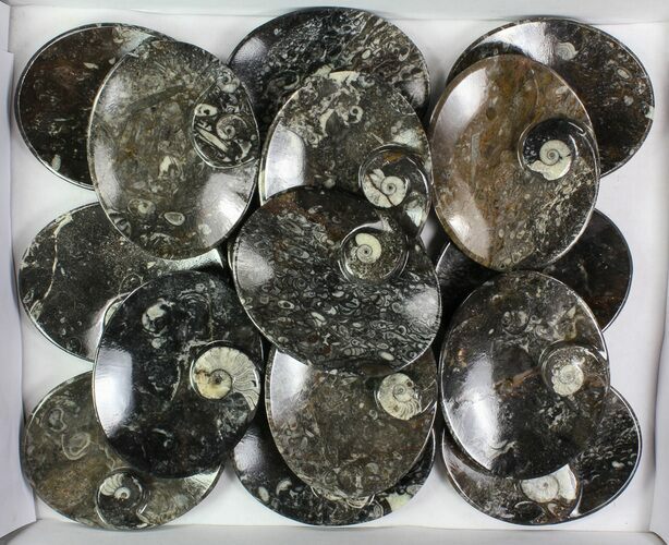 Lot:  Oval Fossil Stoneware Dishes - Pieces #78023